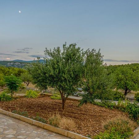 Apartmani Lana Skradin Exterior foto